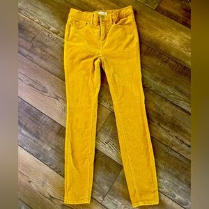 Loft Skinny Fit Corduroy Pants Size 25 Petite